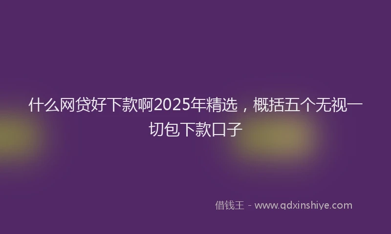 什么网贷好下款啊2025年精选，概括五个无视一切包下款口子