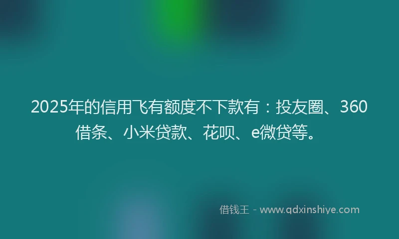 2025年的信用飞有额度不下款有：投友圈、360借条、小米贷款、花呗、e微贷等。