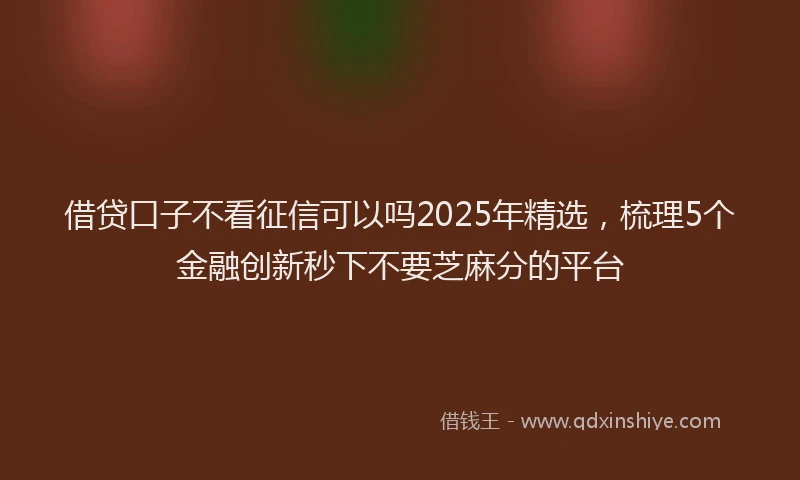 借贷口子不看征信可以吗2025年精选，梳理5个金融创新秒下不要芝麻分的平台