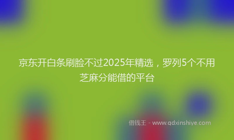 京东开白条刷脸不过2025年精选，罗列5个不用芝麻分能借的平台