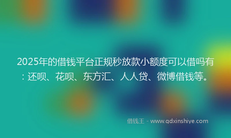 2025年的借钱平台正规秒放款小额度可以借吗有：还呗、花呗、东方汇、人人贷、微博借钱等。