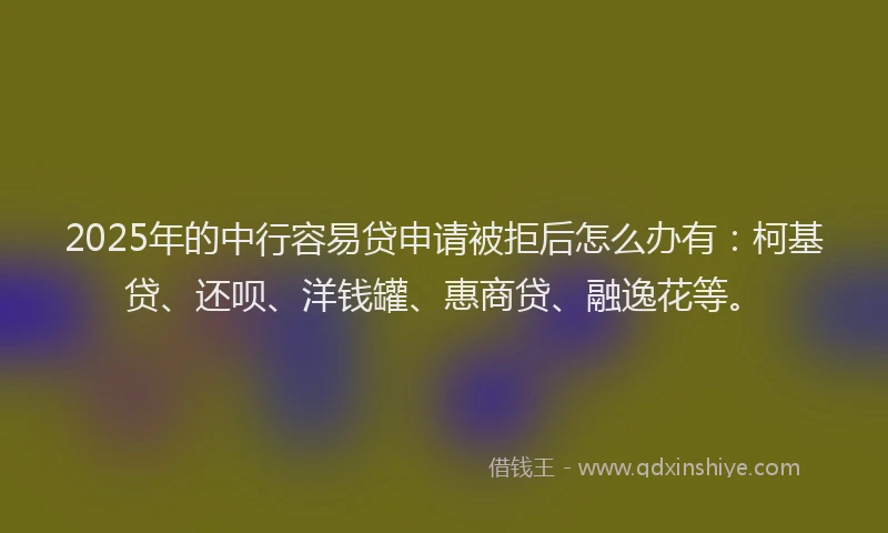 2025年的中行容易贷申请被拒后怎么办有：柯基贷、还呗、洋钱罐、惠商贷、融逸花等。