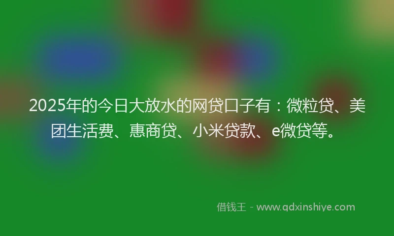 2025年的今日大放水的网贷口子有：微粒贷、美团生活费、惠商贷、小米贷款、e微贷等。
