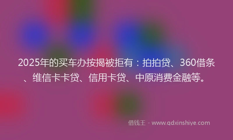2025年的买车办按揭被拒有：拍拍贷、360借条、维信卡卡贷、信用卡贷、中原消费金融等。