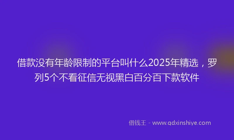 借款没有年龄限制的平台叫什么2025年精选，罗列5个不看征信无视黑白百分百下款软件