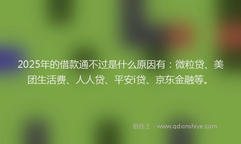 2025年的借款通不过是什么原因有：微粒贷、美团生活费、人人贷、平安i贷、京东金融等。