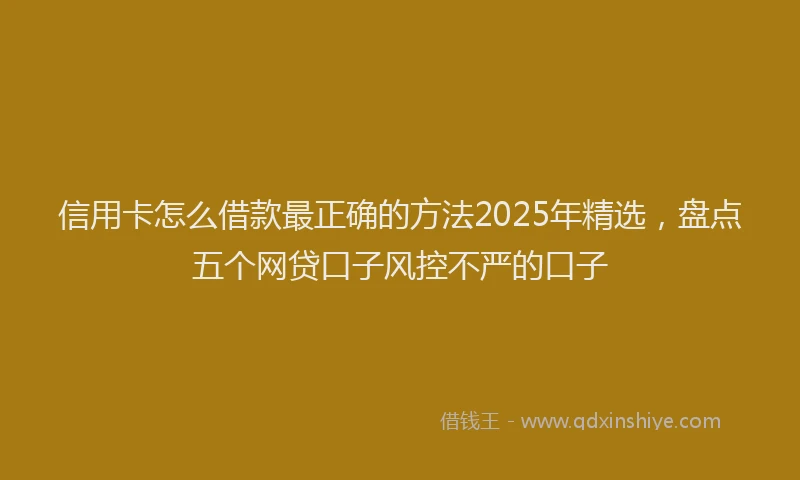 信用卡怎么借款最正确的方法2025年精选，盘点五个网贷口子风控不严的口子