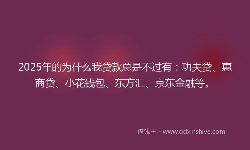 2025年的为什么我贷款总是不过有：功夫贷、惠商贷、小花钱包、东方汇、京东金融等。