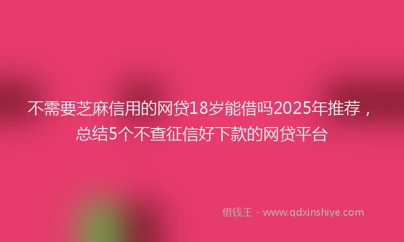 不需要芝麻信用的网贷18岁能借吗2025年推荐，总结5个不查征信好下款的网贷平台