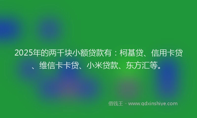 2025年的两千块小额贷款有：柯基贷、信用卡贷、维信卡卡贷、小米贷款、东方汇等。