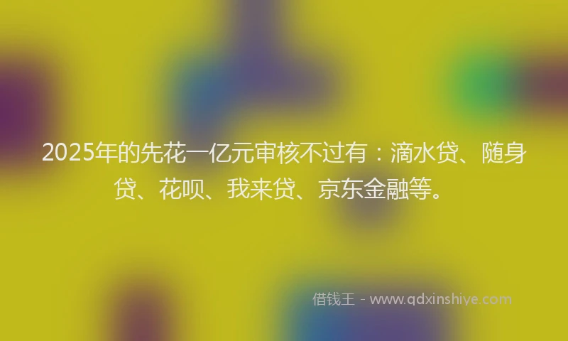 2025年的先花一亿元审核不过有：滴水贷、随身贷、花呗、我来贷、京东金融等。