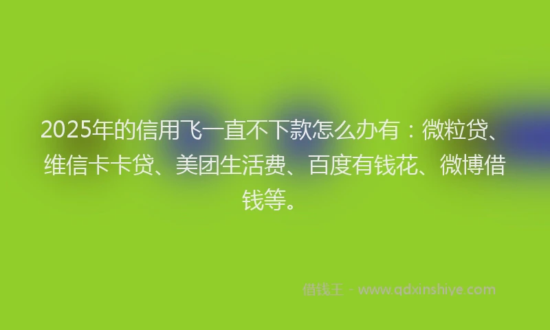 2025年的信用飞一直不下款怎么办有：微粒贷、维信卡卡贷、美团生活费、百度有钱花、微博借钱等。