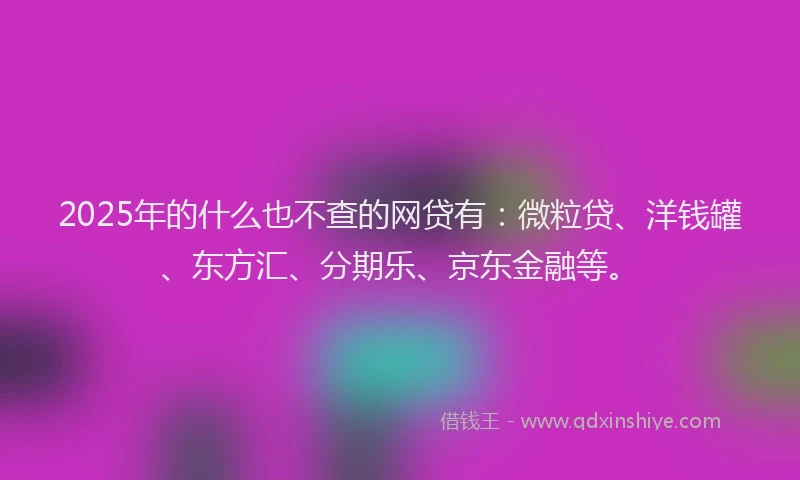 2025年的什么也不查的网贷有：微粒贷、洋钱罐、东方汇、分期乐、京东金融等。