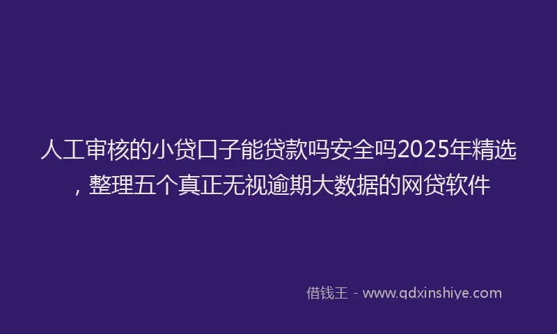 人工审核的小贷口子能贷款吗安全吗2025年精选，整理五个真正无视逾期大数据的网贷软件