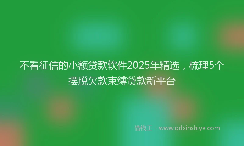 不看征信的小额贷款软件2025年精选，梳理5个摆脱欠款束缚贷款新平台