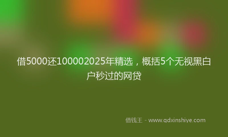 借5000还100002025年精选，概括5个无视黑白户秒过的网贷