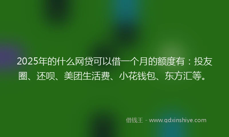 2025年的什么网贷可以借一个月的额度有：投友圈、还呗、美团生活费、小花钱包、东方汇等。