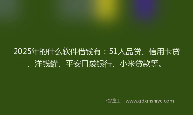 2025年的什么软件借钱有：51人品贷、信用卡贷、洋钱罐、平安口袋银行、小米贷款等。