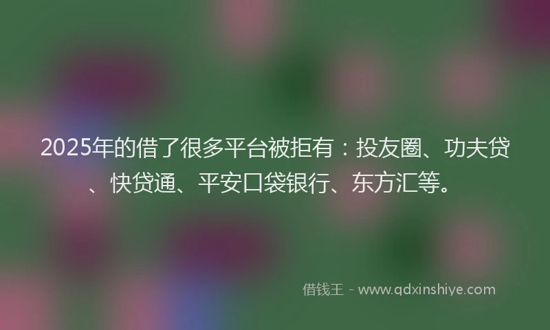 2025年的借了很多平台被拒有：投友圈、功夫贷、快贷通、平安口袋银行、东方汇等。