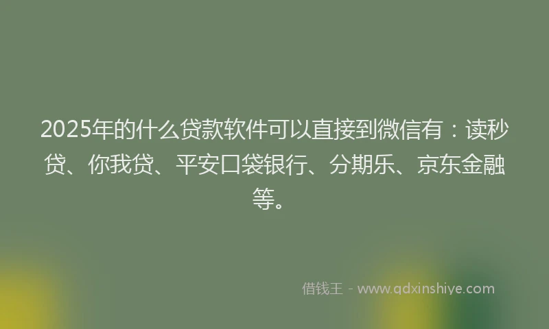 2025年的什么贷款软件可以直接到微信有：读秒贷、你我贷、平安口袋银行、分期乐、京东金融等。