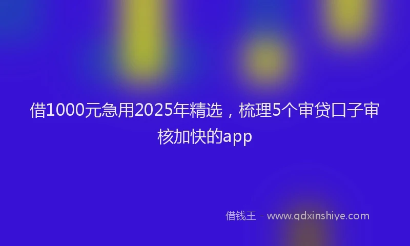 借1000元急用2025年精选，梳理5个审贷口子审核加快的app