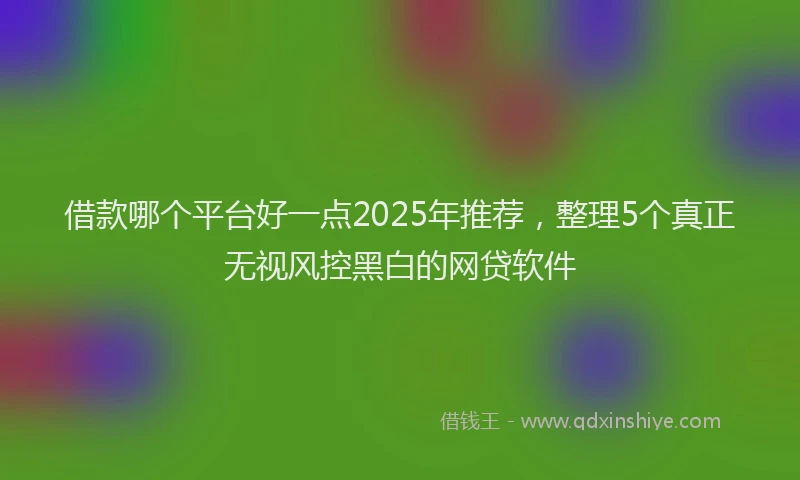借款哪个平台好一点2025年推荐，整理5个真正无视风控黑白的网贷软件