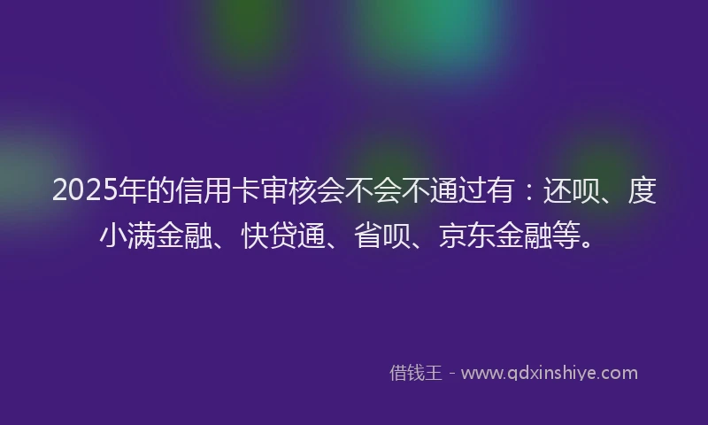 2025年的信用卡审核会不会不通过有：还呗、度小满金融、快贷通、省呗、京东金融等。