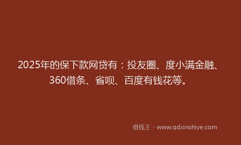 2025年的保下款网贷有：投友圈、度小满金融、360借条、省呗、百度有钱花等。