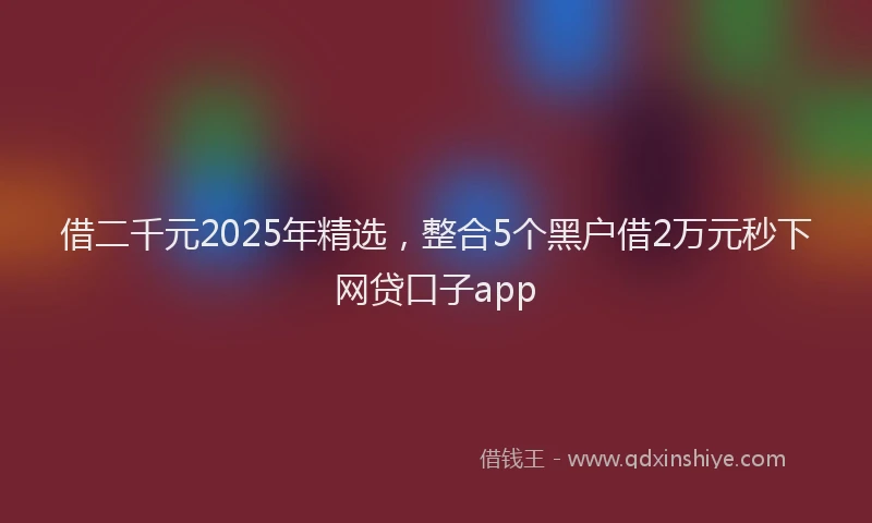 借二千元2025年精选，整合5个黑户借2万元秒下网贷口子app
