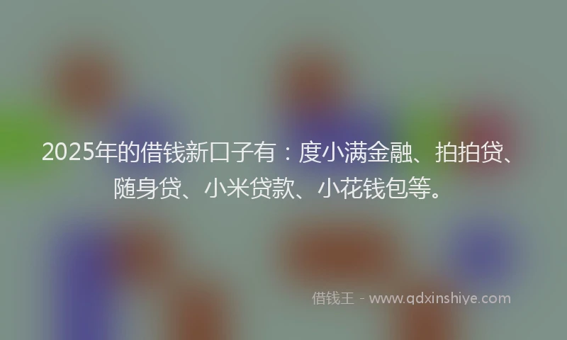 2025年的借钱新口子有：度小满金融、拍拍贷、随身贷、小米贷款、小花钱包等。