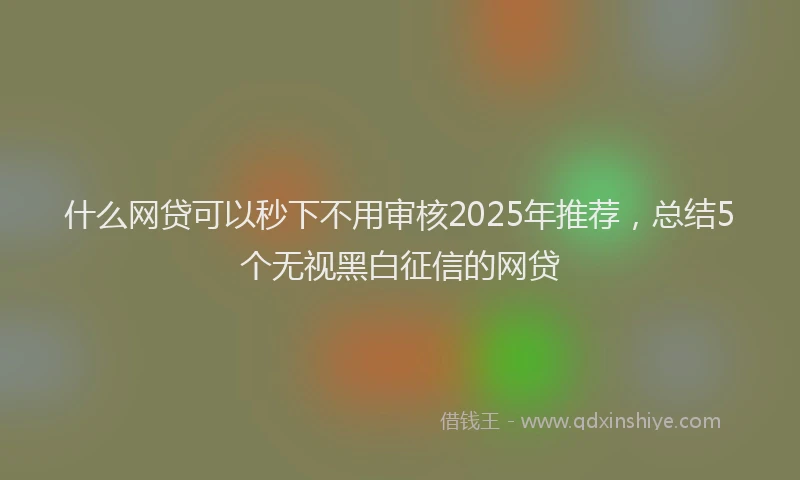 什么网贷可以秒下不用审核2025年推荐，总结5个无视黑白征信的网贷