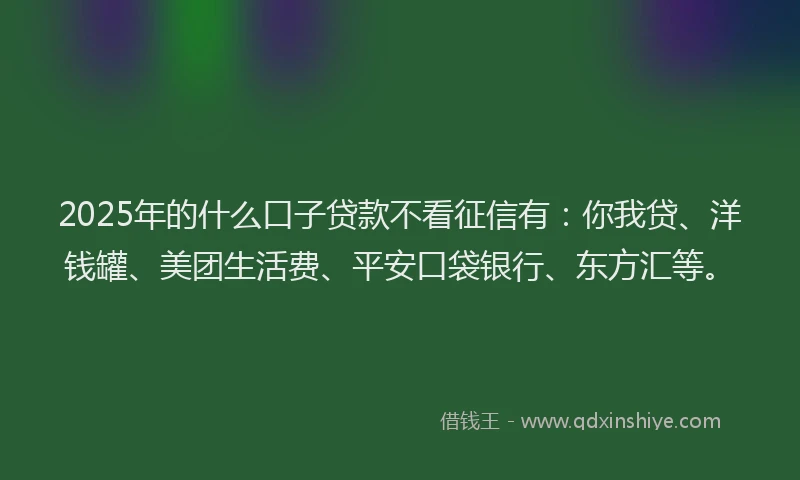 2025年的什么口子贷款不看征信有：你我贷、洋钱罐、美团生活费、平安口袋银行、东方汇等。