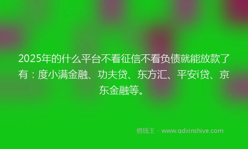 2025年的什么平台不看征信不看负债就能放款了有：度小满金融、功夫贷、东方汇、平安i贷、京东金融等。