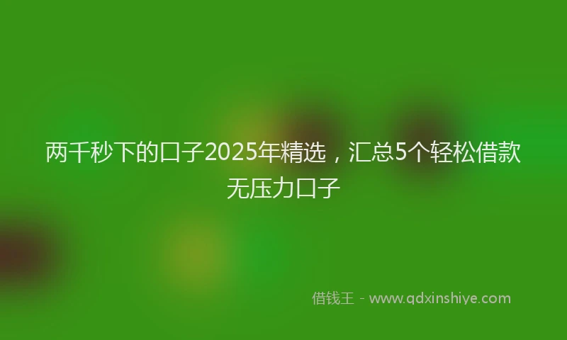 两千秒下的口子2025年精选，汇总5个轻松借款无压力口子