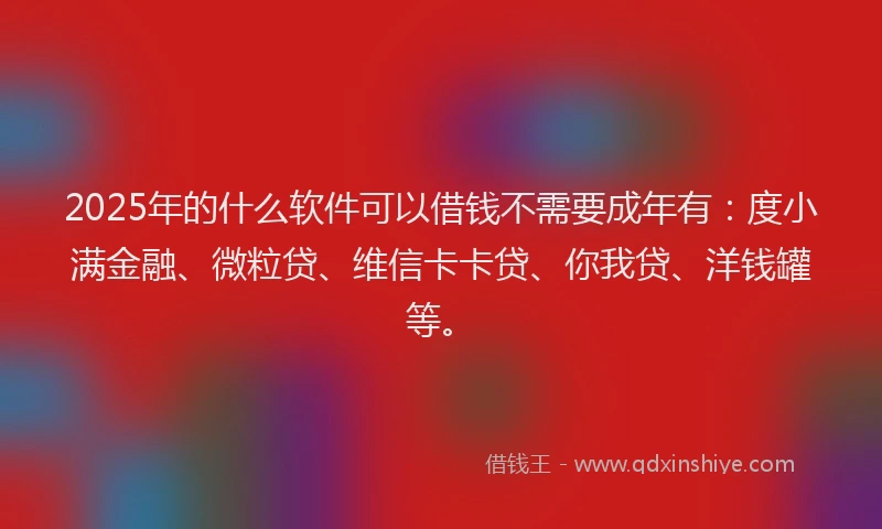 2025年的什么软件可以借钱不需要成年有：度小满金融、微粒贷、维信卡卡贷、你我贷、洋钱罐等。