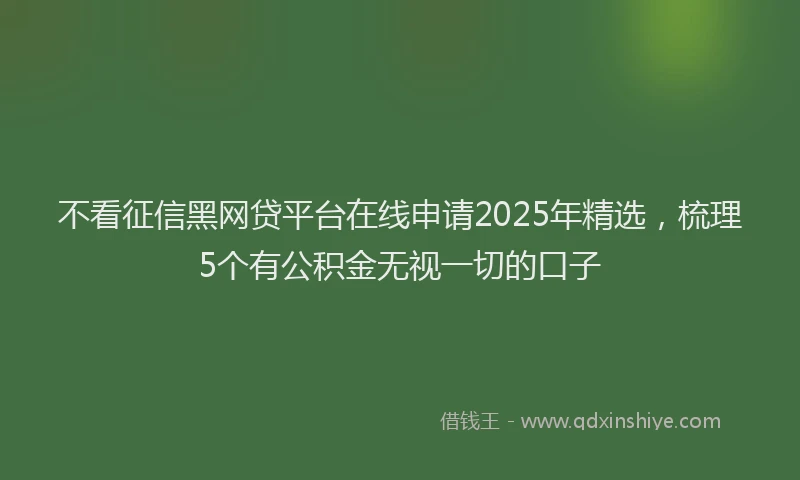 不看征信黑网贷平台在线申请2025年精选，梳理5个有公积金无视一切的口子