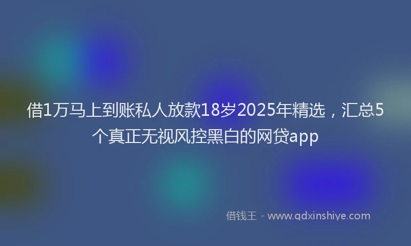 借1万马上到账私人放款18岁2025年精选，汇总5个真正无视风控黑白的网贷app