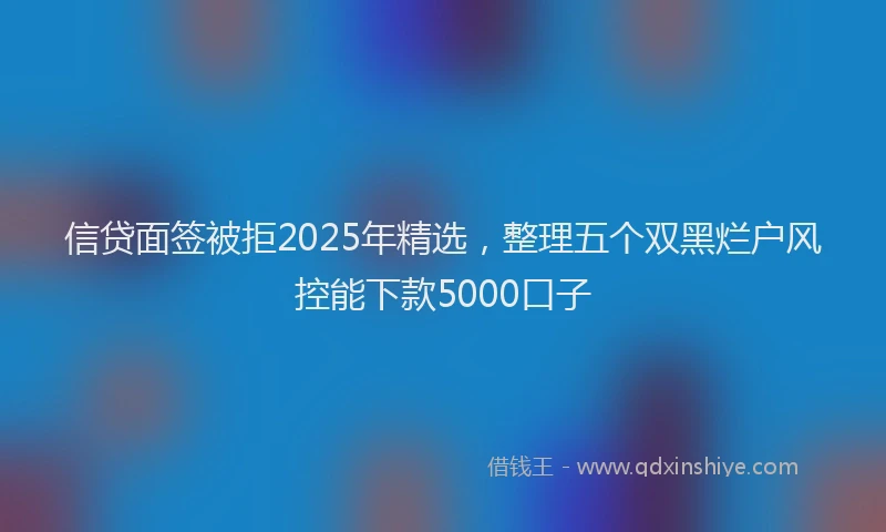 信贷面签被拒2025年精选，整理五个双黑烂户风控能下款5000口子