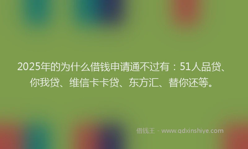 2025年的为什么借钱申请通不过有：51人品贷、你我贷、维信卡卡贷、东方汇、替你还等。