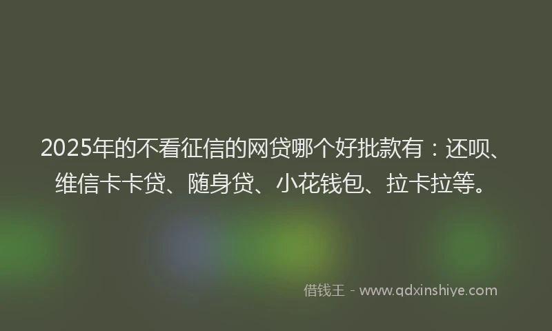 2025年的不看征信的网贷哪个好批款有：还呗、维信卡卡贷、随身贷、小花钱包、拉卡拉等。
