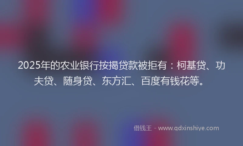 2025年的农业银行按揭贷款被拒有：柯基贷、功夫贷、随身贷、东方汇、百度有钱花等。