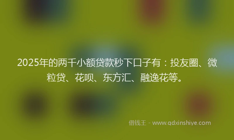 2025年的两千小额贷款秒下口子有：投友圈、微粒贷、花呗、东方汇、融逸花等。