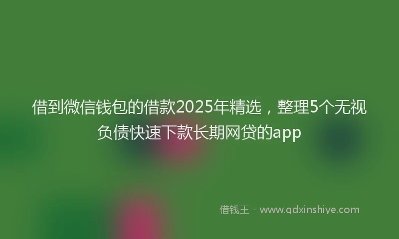 借到微信钱包的借款2025年精选，整理5个无视负债快速下款长期网贷的app