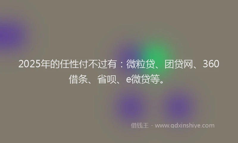 2025年的任性付不过有：微粒贷、团贷网、360借条、省呗、e微贷等。