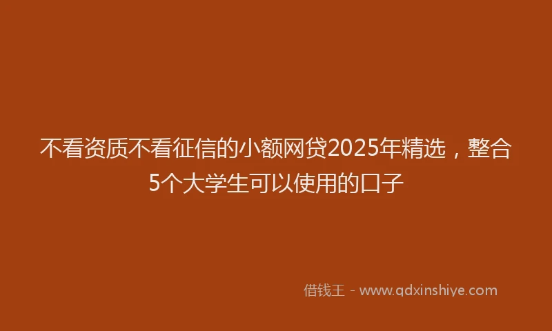 不看资质不看征信的小额网贷2025年精选，整合5个大学生可以使用的口子