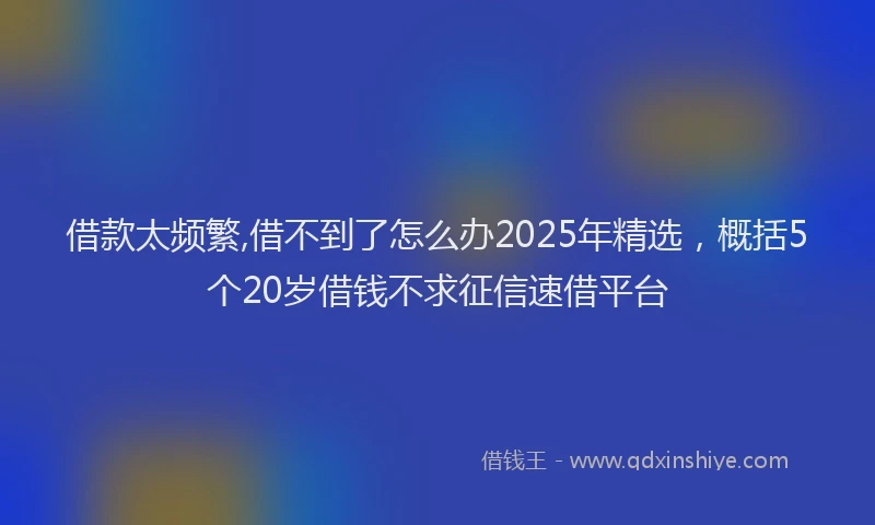 借款太频繁,借不到了怎么办2025年精选，概括5个20岁借钱不求征信速借平台