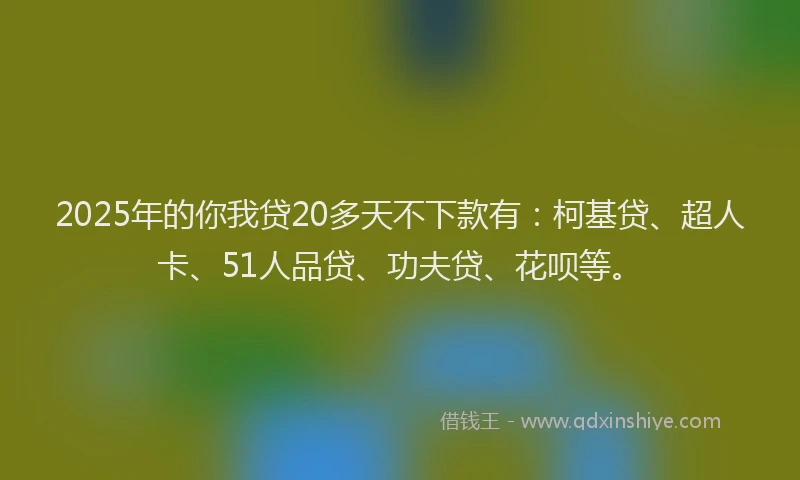 2025年的你我贷20多天不下款有：柯基贷、超人卡、51人品贷、功夫贷、花呗等。