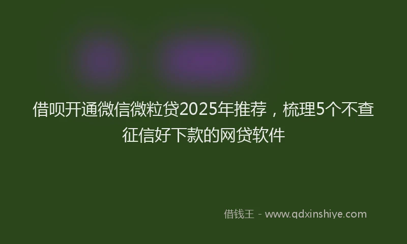 借呗开通微信微粒贷2025年推荐，梳理5个不查征信好下款的网贷软件