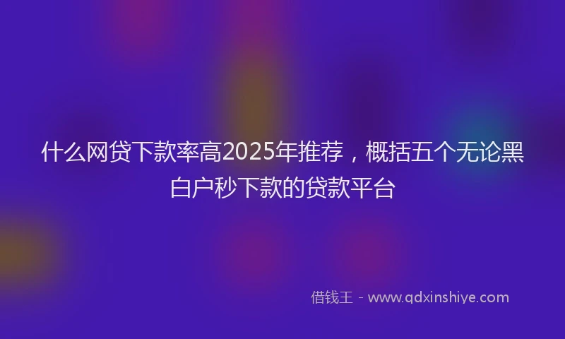 什么网贷下款率高2025年推荐，概括五个无论黑白户秒下款的贷款平台