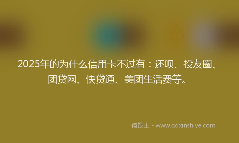 2025年的为什么信用卡不过有：还呗、投友圈、团贷网、快贷通、美团生活费等。